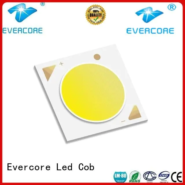 Evercore Brand full spectrum cob led best cob led grow light