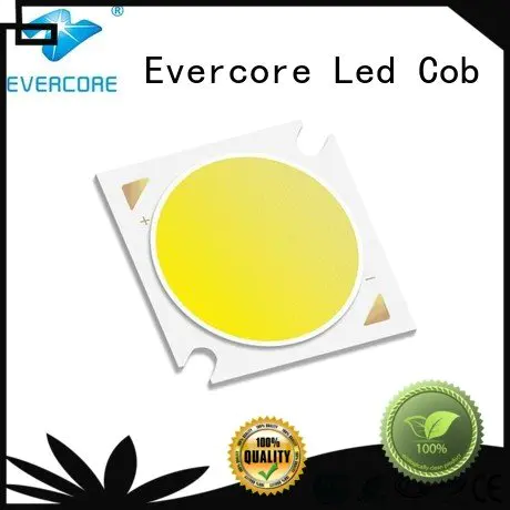 Evercore Brand led cob Grow lamps full spectrum High CRI