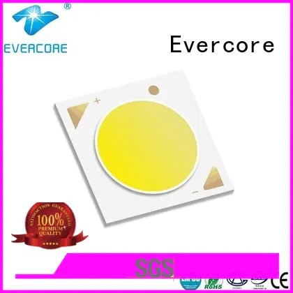 Quality Evercore Brand best cob led grow light full spectrum led