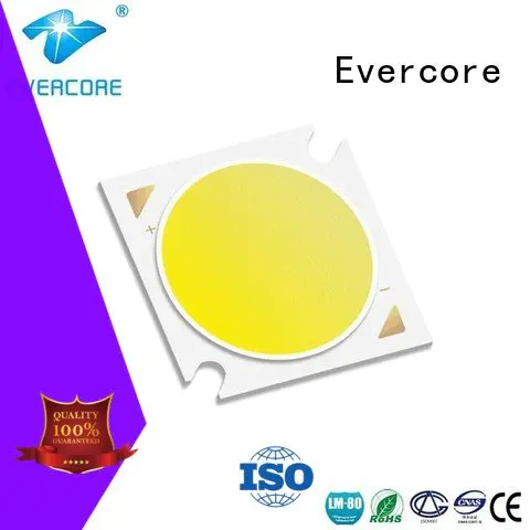 Evercore Brand cob led best cob led grow light High CRI full spectrum
