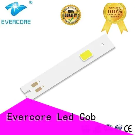 automotive lighting cobs modules cob led led Evercore