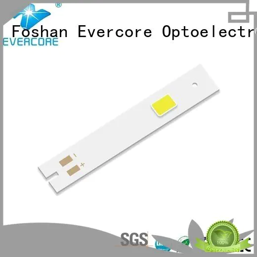Evercore automotive lighting cobs modules led cob cob