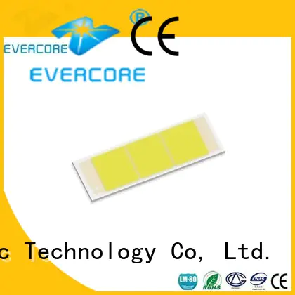 automotive lighting cobs modules track light PAR light optical design Evercore Brand cob led kit