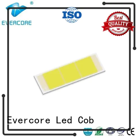 cob led Evercore Brand automotive lighting cobs modules factory