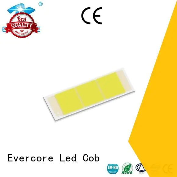 led cob Evercore automotive lighting cobs modules