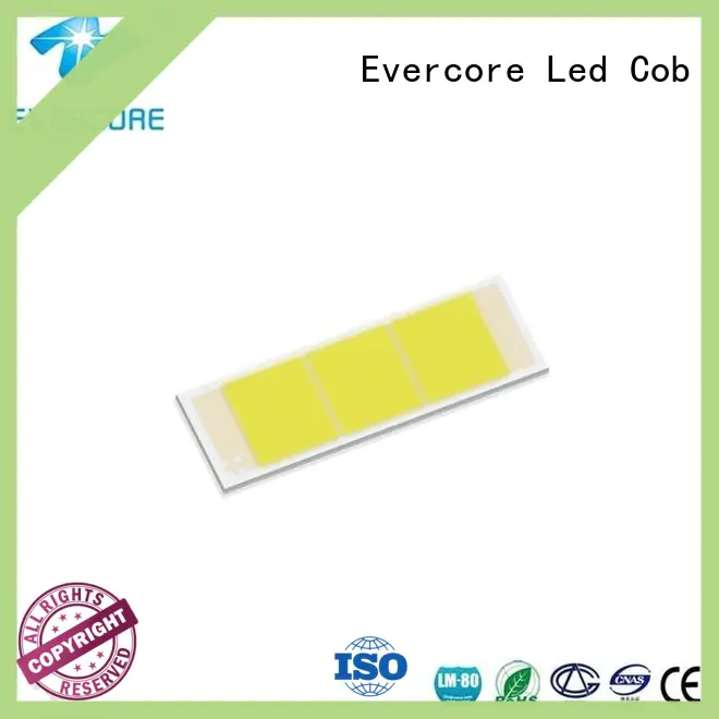 Evercore les cob led kit looking for a buyer for businessman