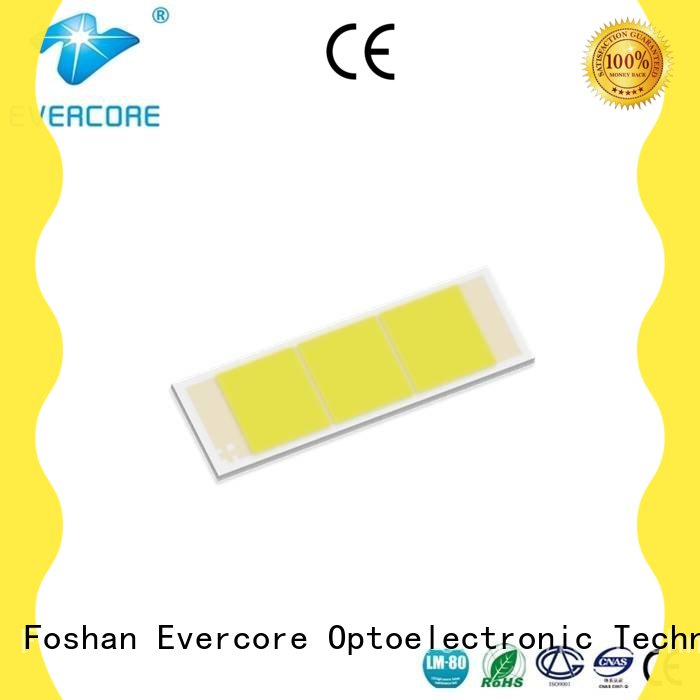 Evercore big production automotive led lights Guangdong for businessman