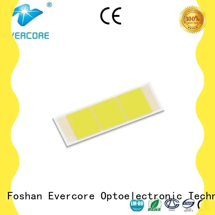 Evercore big production automotive led lights Guangdong for businessman