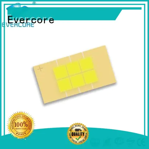 Evercore mm automotive led lights Guangdong for merchant