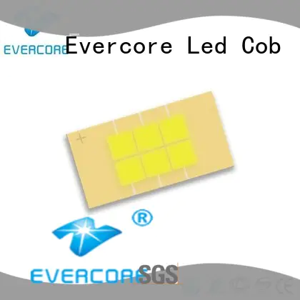 Evercore power cob led kit Guangdong for businessman