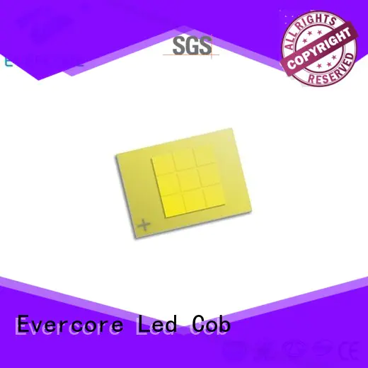 Evercore new automotive led lights producer for sale