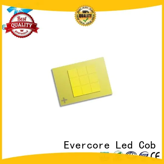 Hot automotive lighting cobs modules led Automotive COB cob Evercore led cob