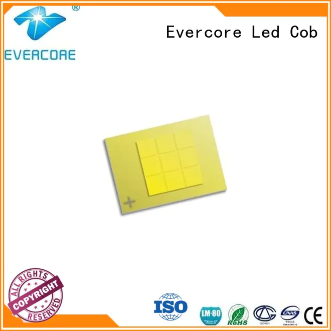 Evercore led cob led looking for a buyer for merchant