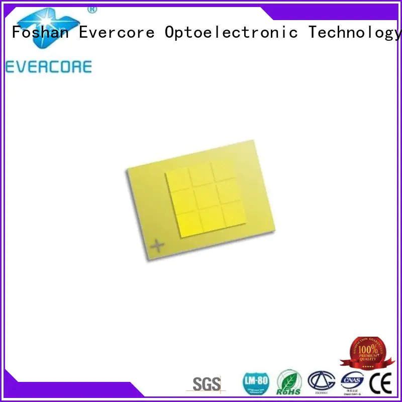 Evercore cc1860 cob led kit looking for a buyer for businessman