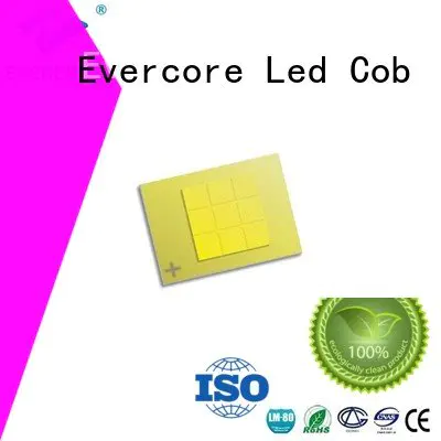 automotive lighting cobs modules cob Automotive COB Evercore led cob