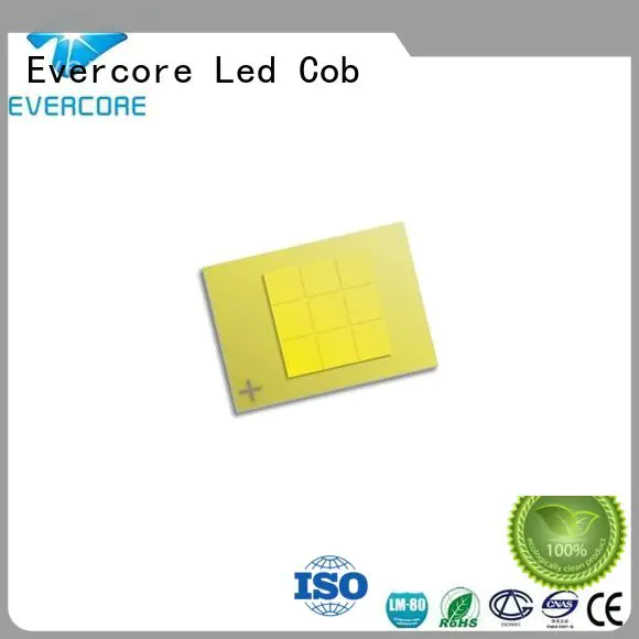 cob led Automotive COB led Evercore cob
 led