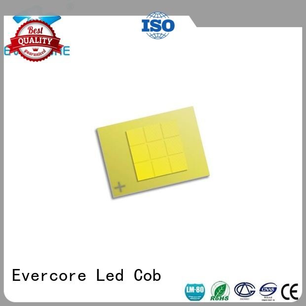 Evercore cob led led automotive lighting cobs modules led