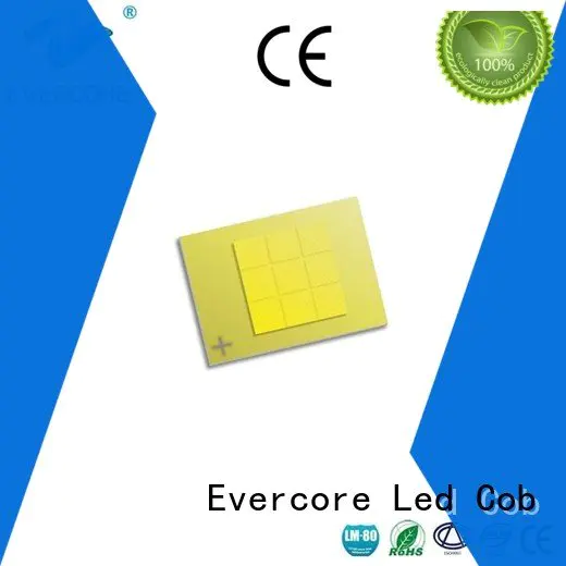 Evercore Brand led cob Automotive COB cob cob