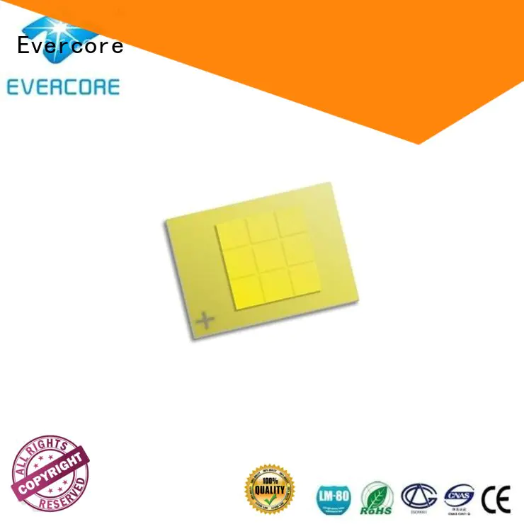 Evercore mm automotive led spotlights Guangdong for businessman