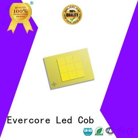 Hot automotive lighting cobs modules cob led led Evercore Brand
