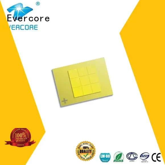 Evercore hot selling cob led producer for sale