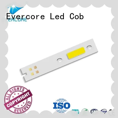 Evercore hot selling automotive led lights Guangdong for merchant