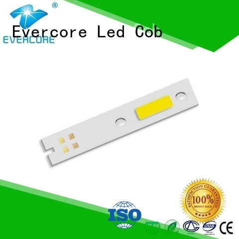 Evercore Brand cob led led automotive lighting cobs modules