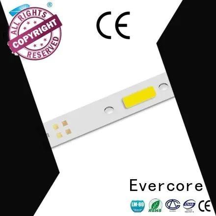 Evercore automotive lighting cobs modules led cob cob cob