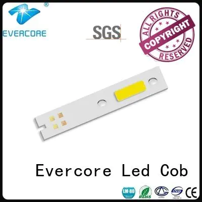 Hot automotive lighting cobs modules led cob cob Evercore Brand