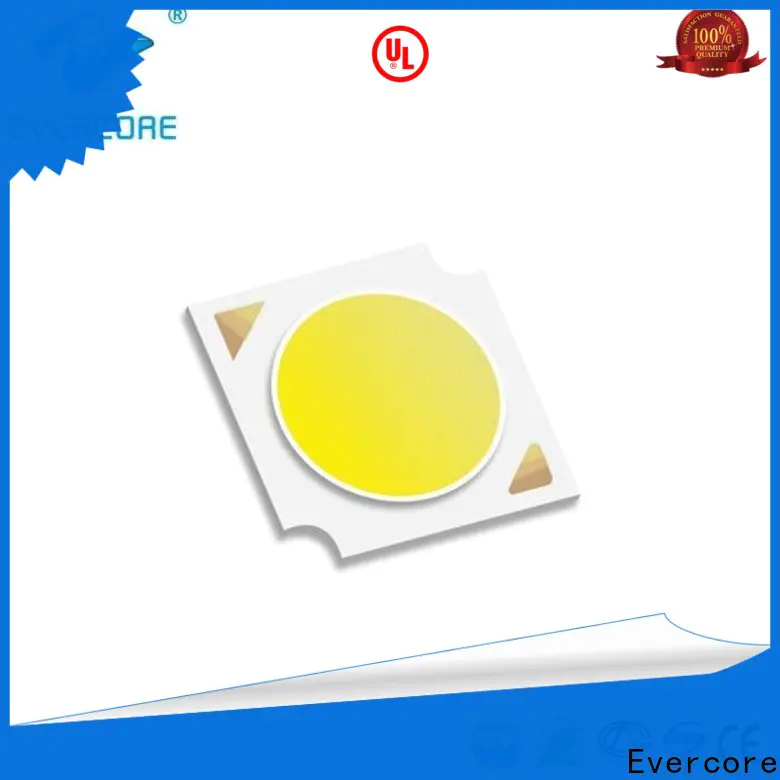 Evercore Low cost Cob Led factory for distribution