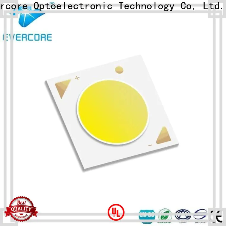 Evercore spot Led Cob Chip factory for sale