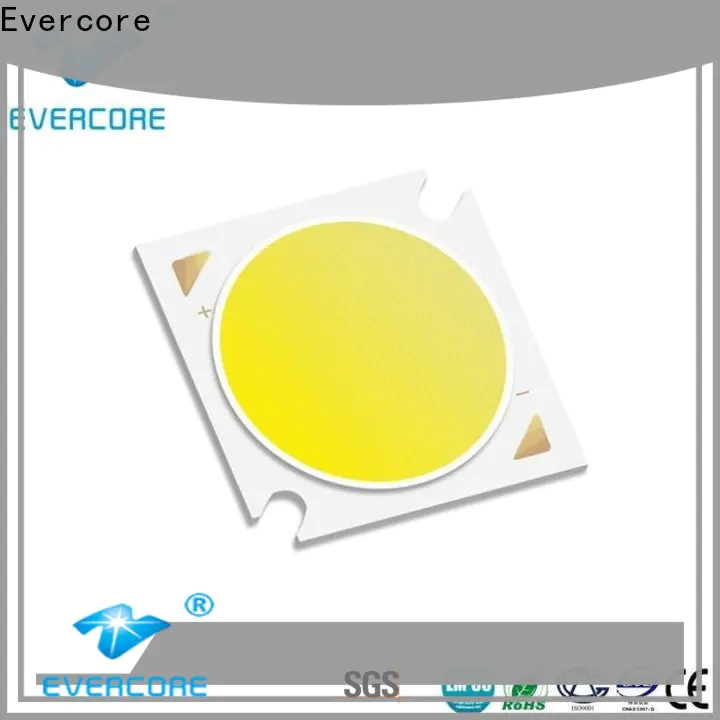 Evercore h19 Led Cob Chip manufacturer for sale