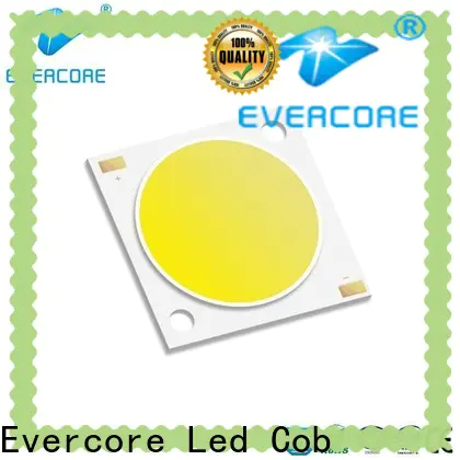 Evercore cheap Cob Led factory for lighting