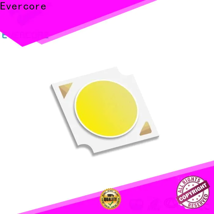 Evercore lamp Led Cob Chip manufacturer for sale