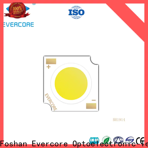 Evercore wholesale smd led chip Asia company for reseller