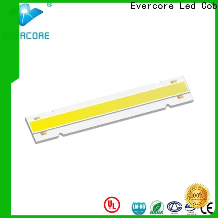 Evercore h13 Cob Led factory for sale
