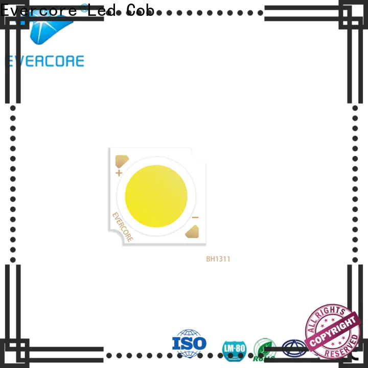 Evercore bh rgb cob led manufacturer for lighting