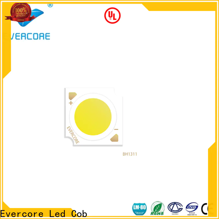 Evercore professional 6000k led color wholesale for wholesale