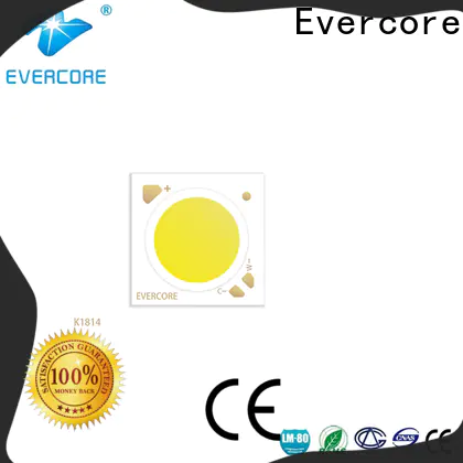 Evercore cheap 2 color led supplier for distribution