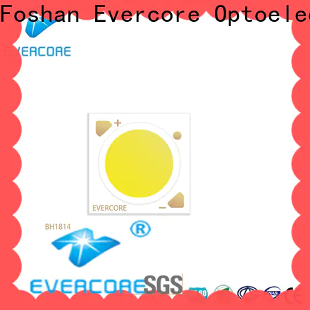 Evercore ra97 led downlight kit overseas market for sale