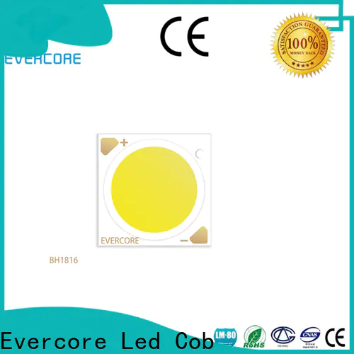 affordable downlight cob track customized for sale