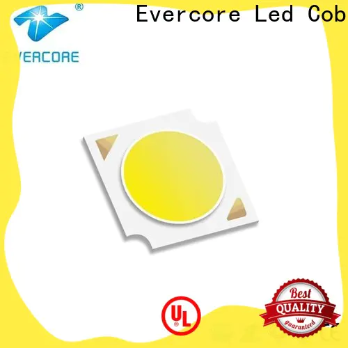 Evercore Low cost Led Cob Chip factory for lighting