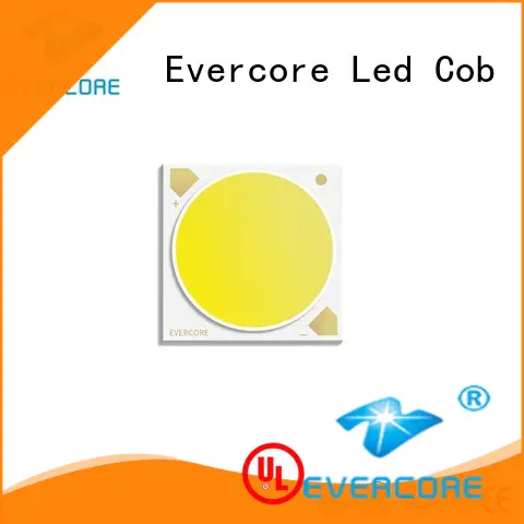 Evercore 2700k6000k 2 color led supplier for distribution