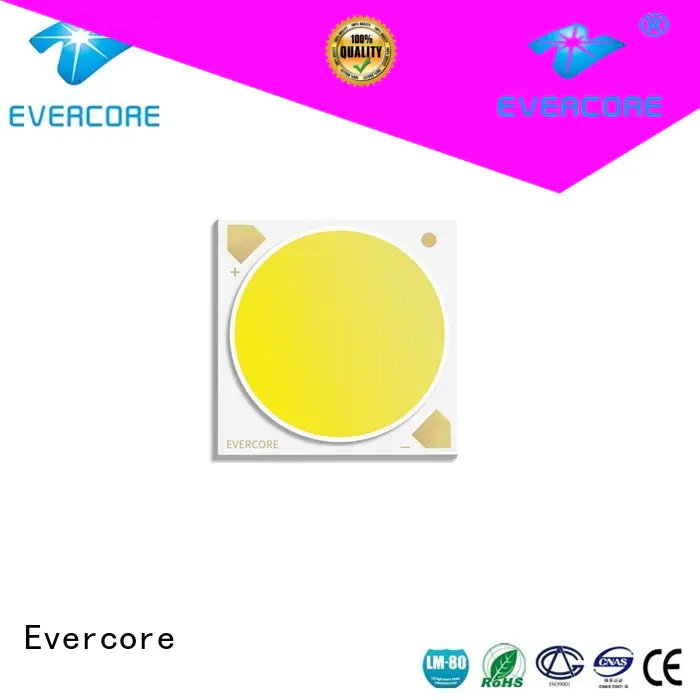 Evercore easy installation 2 color led bulk production for distribution