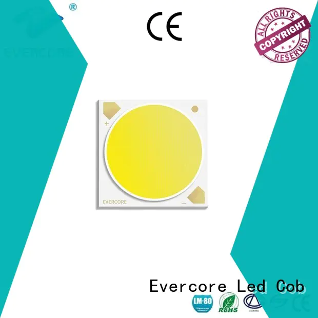 Evercore cob 2 color led bulk production for wholesale