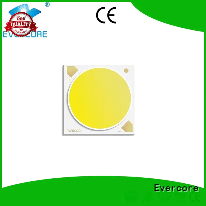 Evercore easy installation 2 color led supplier for distribution