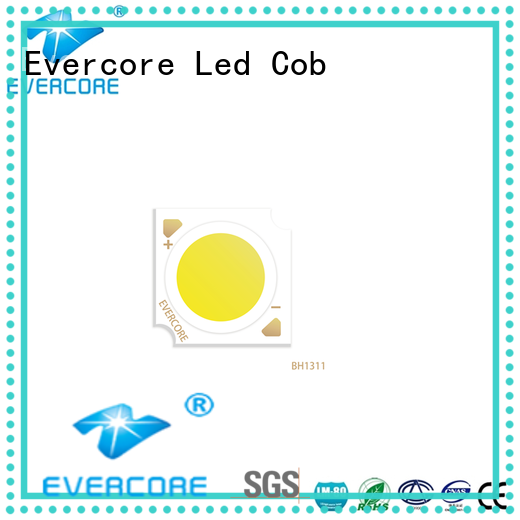 Evercore new generation commercial lighting cob supplier for wholesale