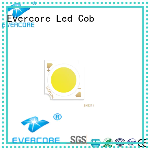 Evercore new generation commercial lighting cob supplier for wholesale