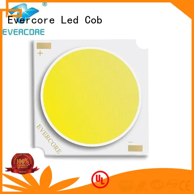 High CRI led cob Evercore Brand best cob led grow light manufacture