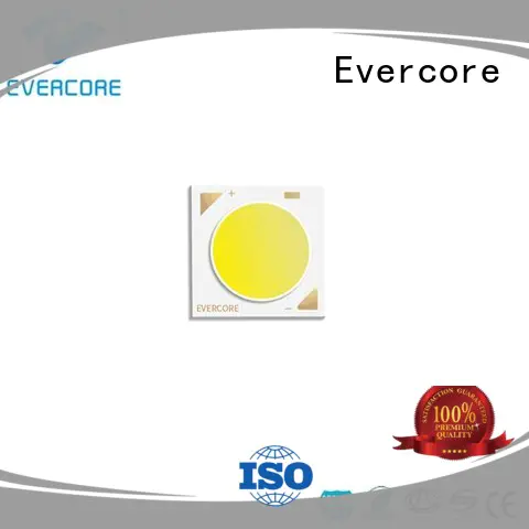 Evercore dk1311 two color led supplier for wholesale